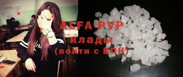 прущие грибы Бронницы