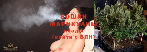 apvp Богданович