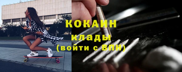 apvp Богданович