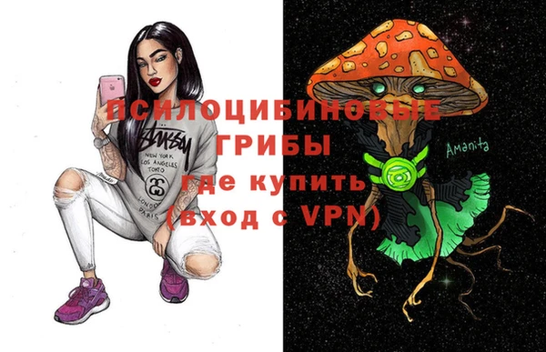 a pvp Богородицк