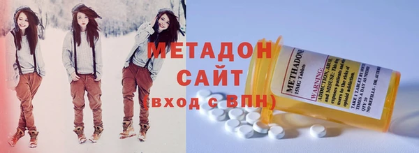 прущие грибы Бронницы