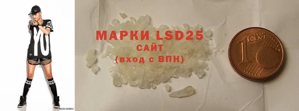 прущие грибы Бронницы