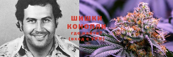 apvp Богданович