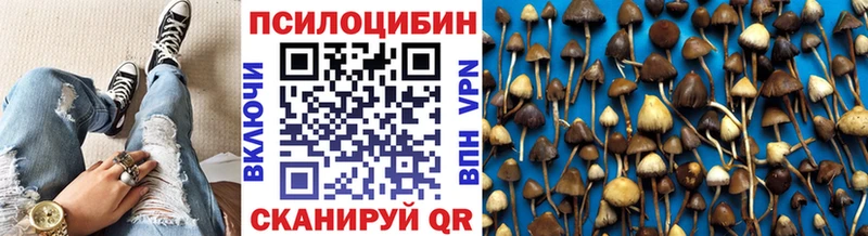 Псилоцибиновые грибы MAGIC MUSHROOMS  Киселёвск 